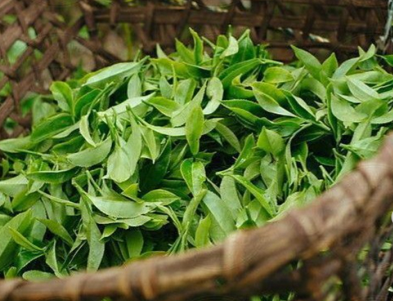 screenshot 2025 10 28 195958